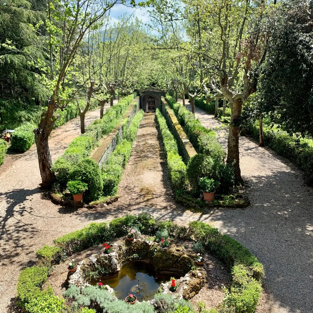 Il giardino all'italiana con la vasca in pietra e il viale di platani